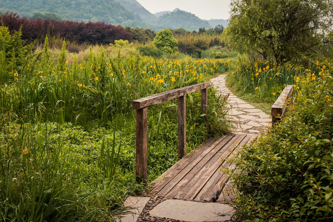 landscaping stone path